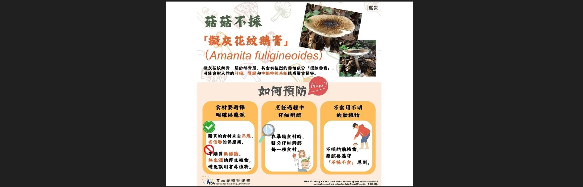 菇類不採